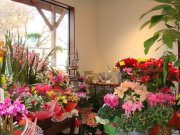 「フローリスト舟木」　（茨城県日立市）の花屋店舗写真2